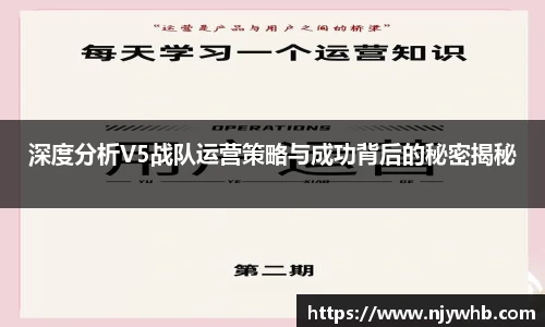 深度分析V5战队运营策略与成功背后的秘密揭秘